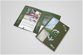 BHK Greenhouse Katalog Tasarımı