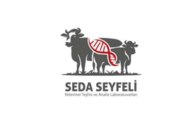 Seda Seyfeli Logo Tasarımı