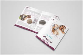 Fracon Katalog Üretimi