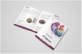 Fracon Katalog Üretimi